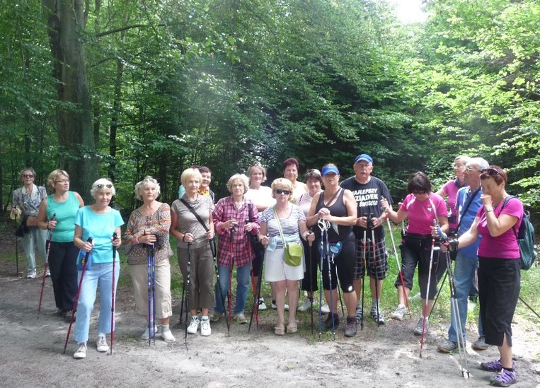 Elbląg, Aktywne wakacje seniorów Elbląg, Aktywne wakacje seniorów