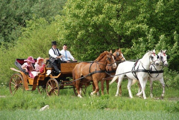 Elbląg, Piknik Zaprzęgowy w Piastowie Elbląg, Piknik Zaprzęgowy w Piastowie