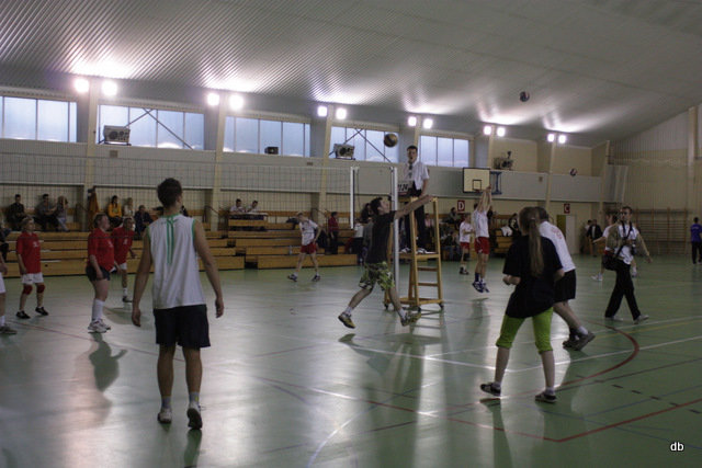 Elbląg, Volley Liga już dziś!