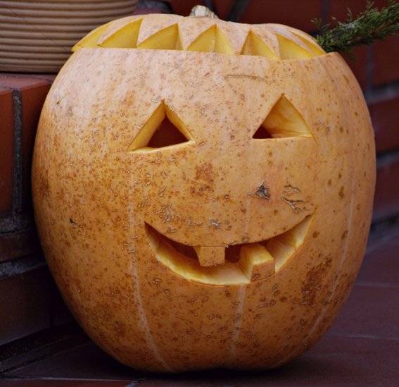 Elbląg, Halloween to nie tylko wyrzeźbione dynie...