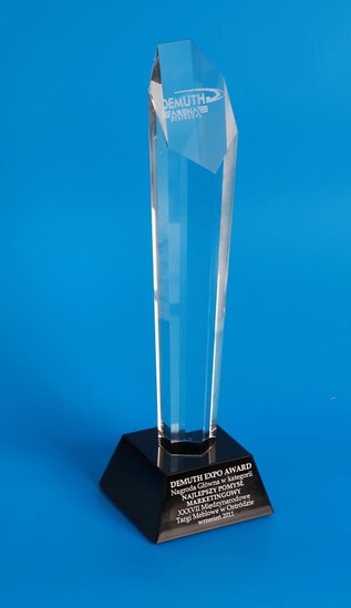 Elbląg, Statuetkę Demuth Expo Award odebrał wiceprezes ds. sprzedaży i marketingu „Wójcik Fabryki Mebli” sp. z o.o. Piotr Wójcik. Elbląg, Statuetkę Demuth Expo Award odebrał wiceprezes ds. sprzedaży i marketingu „Wójcik Fabryki Mebli” sp. z o.o. Piotr Wójcik.