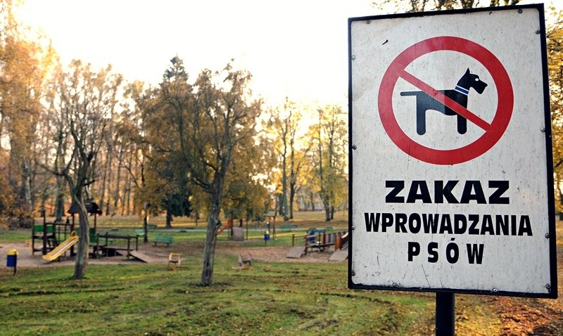 Elbląg, Na placach zabaw – czy jest bezpiecznie?