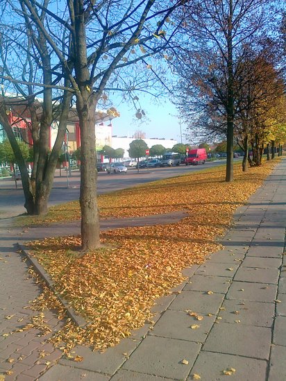 Elbląg, Dla studentów i mieszkańców Elbląg, Dla studentów i mieszkańców