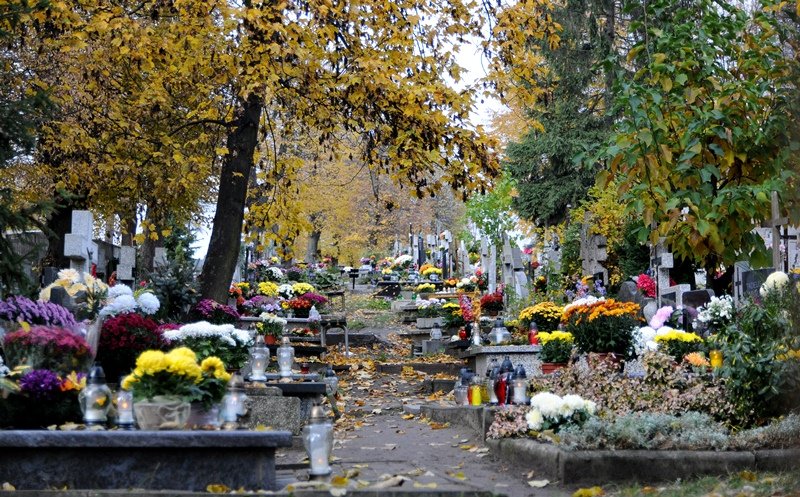 Elbląg, Dwie elbląskie hieny