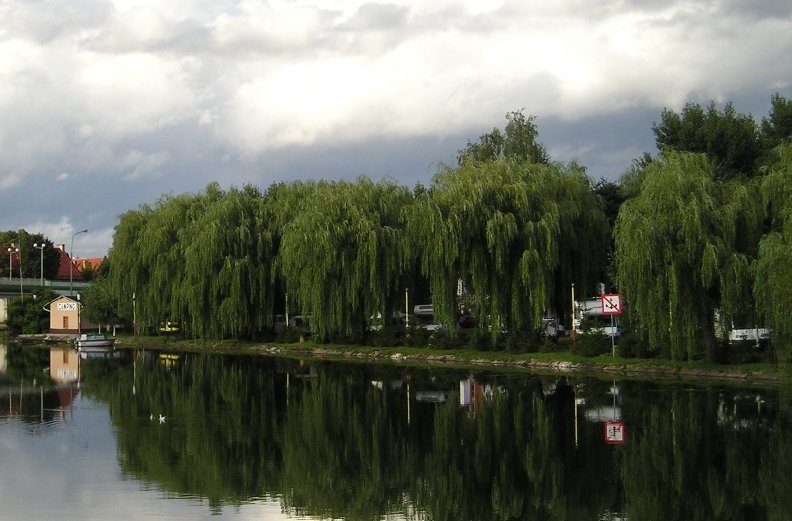 Elbląg, Elbląski camping nagrodzony!