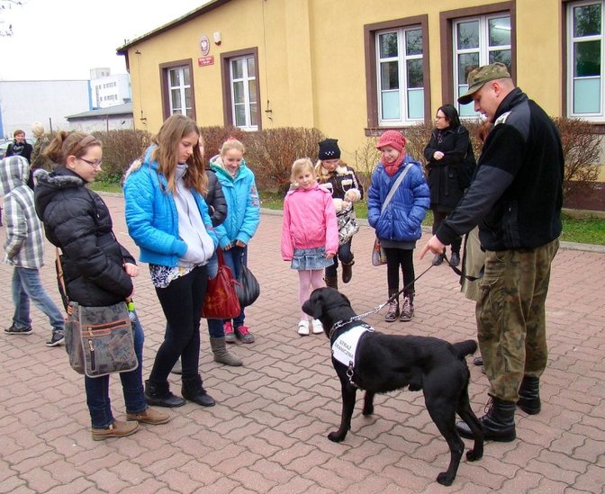 Elbląg, W poszukiwaniu patrona… Elbląg, W poszukiwaniu patrona…