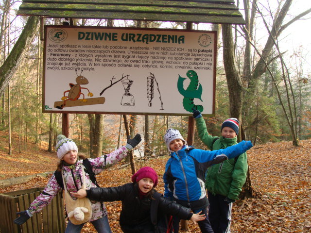 Elbląg, "Zielona rewolucja" w SP 18