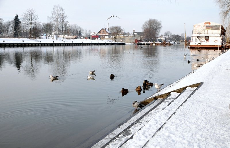 Elbląg, Woda opada powoli Elbląg, Woda opada powoli