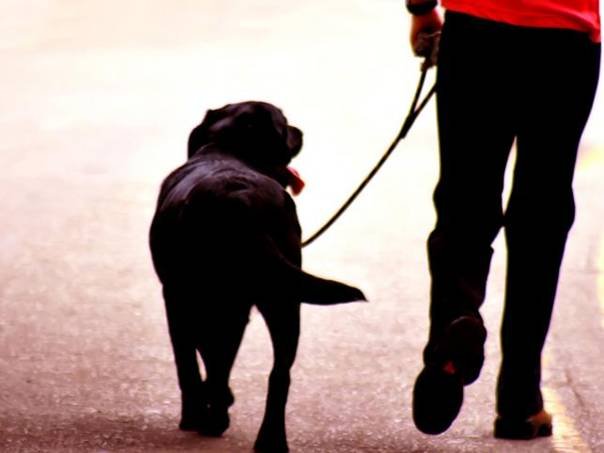 Elbląg, Spacer dla zdrowia, czyli o tym, co zaobserwował uważny obywatel