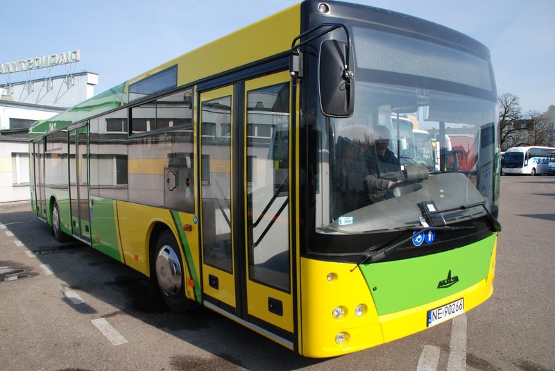 Elbląg, Drugi niskopodłogowy MAZ Elbląg, Drugi niskopodłogowy MAZ