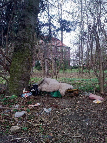 Elbląg, Bezdomny w szpitalnych krzakach