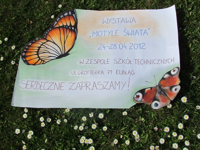 Elbląg, Motyle świata na wystawie Elbląg, Motyle świata na wystawie