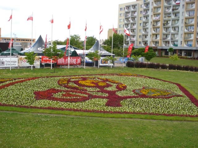Elbląg, Kwiaty zostały obsadzone w motywach Euro 2012 Elbląg, Kwiaty zostały obsadzone w motywach Euro 2012