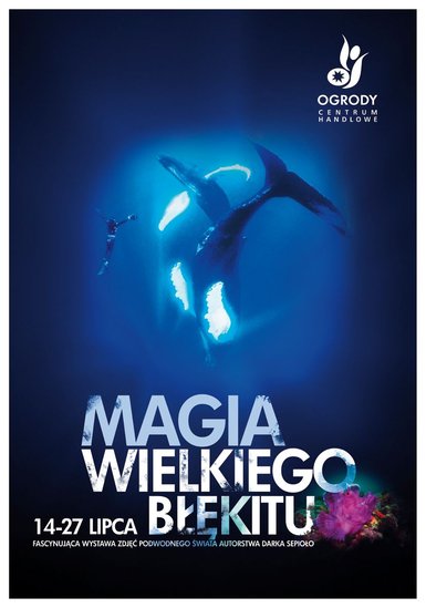 Magia Wielkiego Błękitu - wystawa zdjęć podwodnego świata