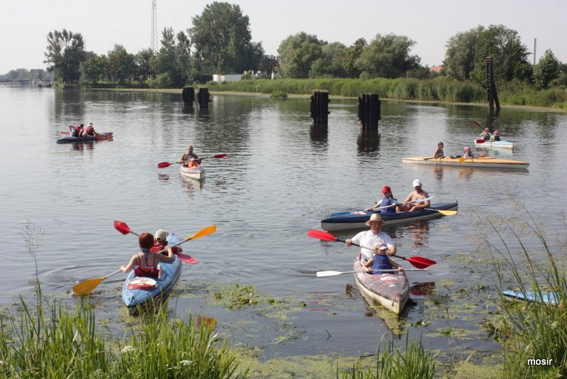 Elbląg, Wakacje z MOSiR-em na spływie kajakowym, Elbląg, Wakacje z MOSiR-em na spływie kajakowym,