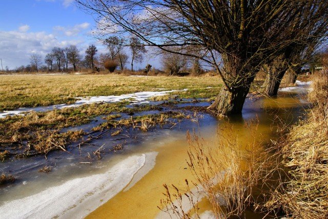 Elbląg, Żuławy,