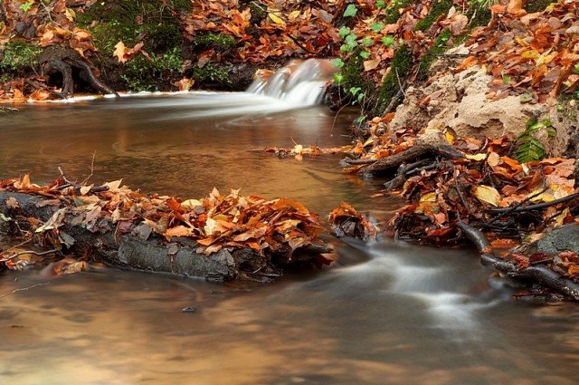 Elbląg, Jesiennie. Kumiela w górnym biegu,