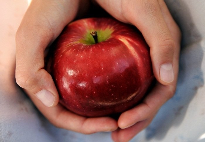 Elbląg, Owoce w szkole