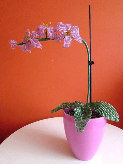 Elbląg, Wystawa sióstr w Filii nr 6