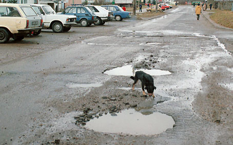 Elbląg, Nasze elbląskie ulice pełne są dziur takich jak te