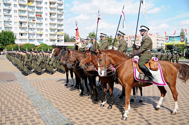 Elbląg, Urodziny Dywizji
