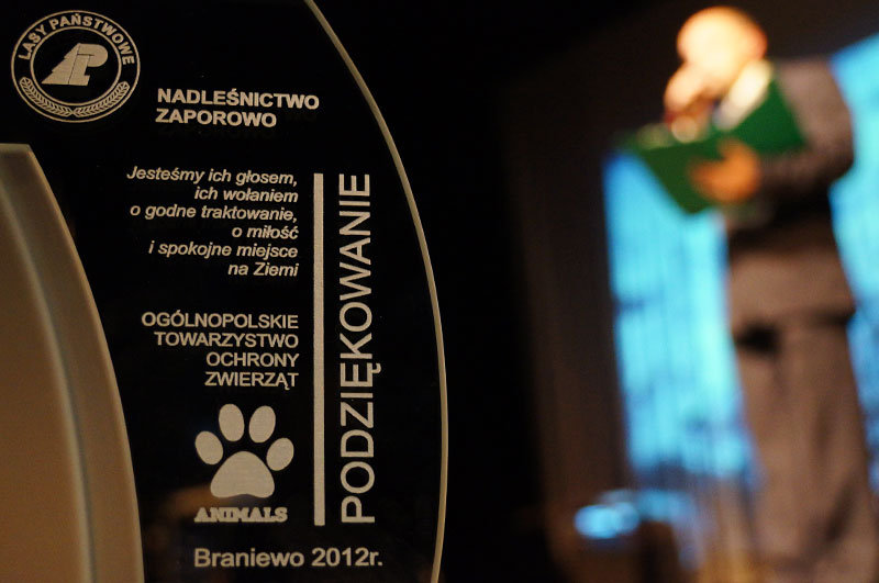 Elbląg, Pomagajmy zwierzętom Elbląg, Pomagajmy zwierzętom