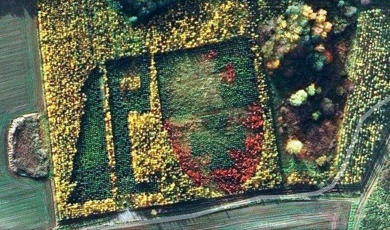 Elbląg, Leśny herb widziany z lotu ptaka (zdjęcie satelitane z maps.google.pl)
