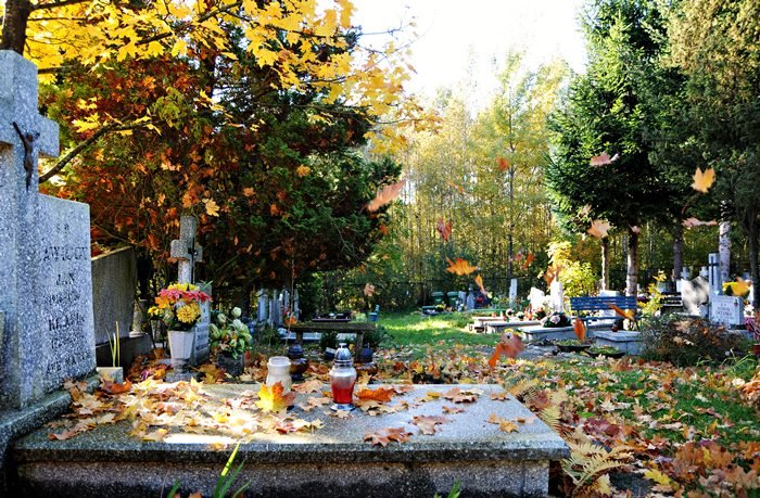 Elbląg, Czas sprzątania na cmentarzach Elbląg, Czas sprzątania na cmentarzach
