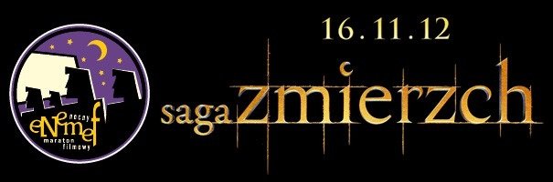Elbląg, ENEMEF: Saga Zmierzch Elbląg, ENEMEF: Saga Zmierzch
