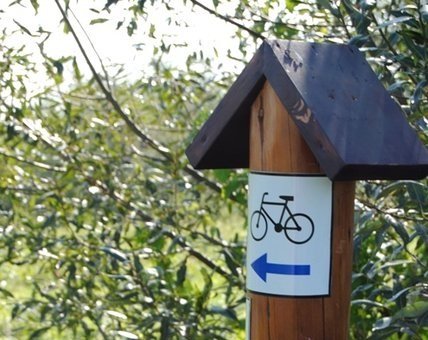 Elbląg, Rowerowo w Polsce Wschodniej Elbląg, Rowerowo w Polsce Wschodniej