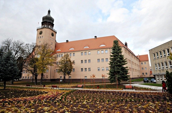 Elbląg, Budżet miasta 2013