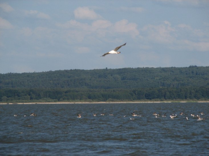 Elbląg, Bałtyk, Elbląg, Bałtyk,