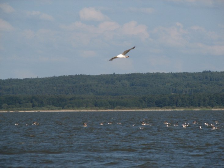 Elbląg, Bałtyk,