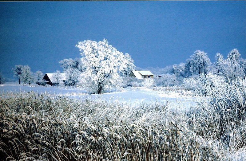 Elbląg, Okolice Nowakowa,