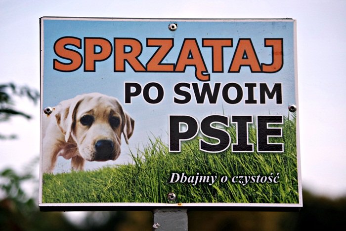 Elbląg, Wstydliwy psi problem (list do redakcji) Elbląg, Wstydliwy psi problem (list do redakcji)