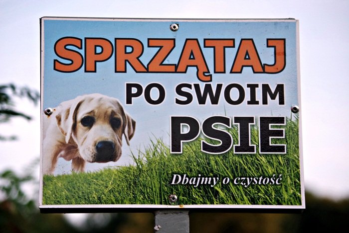 Elbląg, Wstydliwy psi problem (list do redakcji)