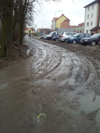 Elbląg, Przez bagno po wiedzę (list do redakcji) Elbląg, Przez bagno po wiedzę (list do redakcji)
