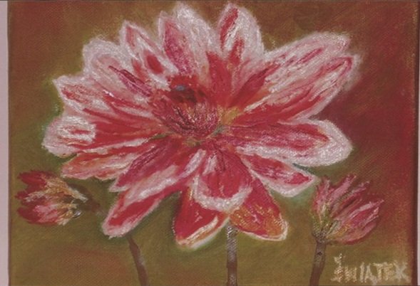 Elbląg, Wystawa prac Danuty Szmacińskiej-Świątek