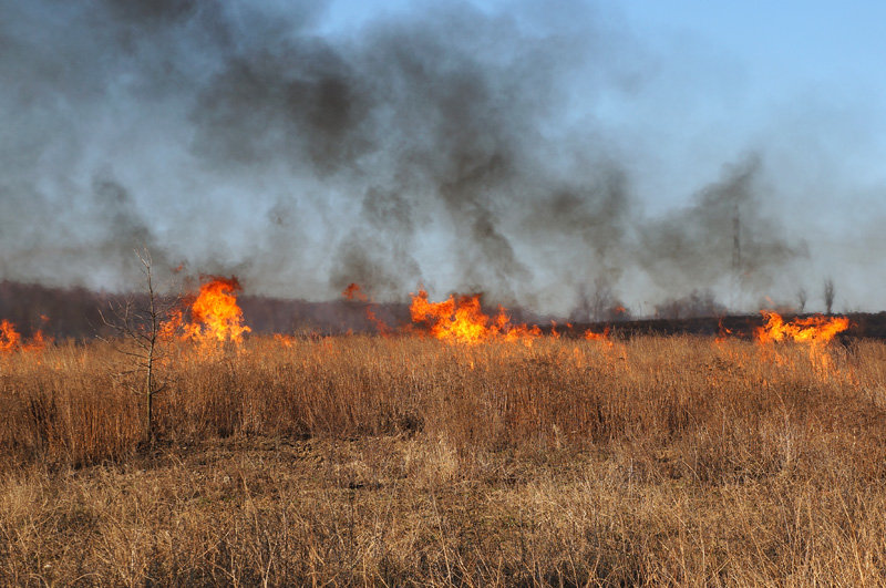 Elbląg, Płoną trawy!