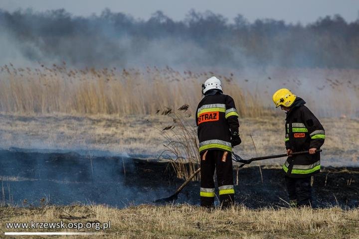 Elbląg, Pożar nieużytków Elbląg, Pożar nieużytków
