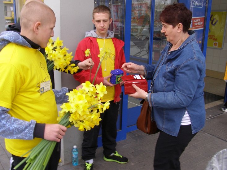 Elbląg, Żonkilowe Pola Nadziei w Kamionku Wielkim