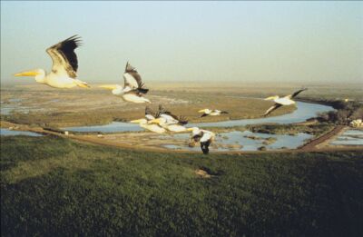 Elbląg, Makrokosmos - Podniebny taniec