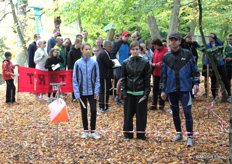 Elbląg, Proponujemy pobiegać na orientację