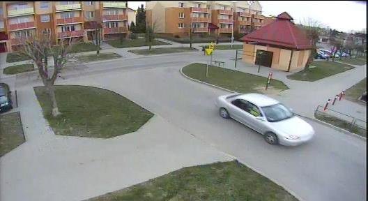 Elbląg, Policja szuka świadków potrącenia Elbląg, Policja szuka świadków potrącenia