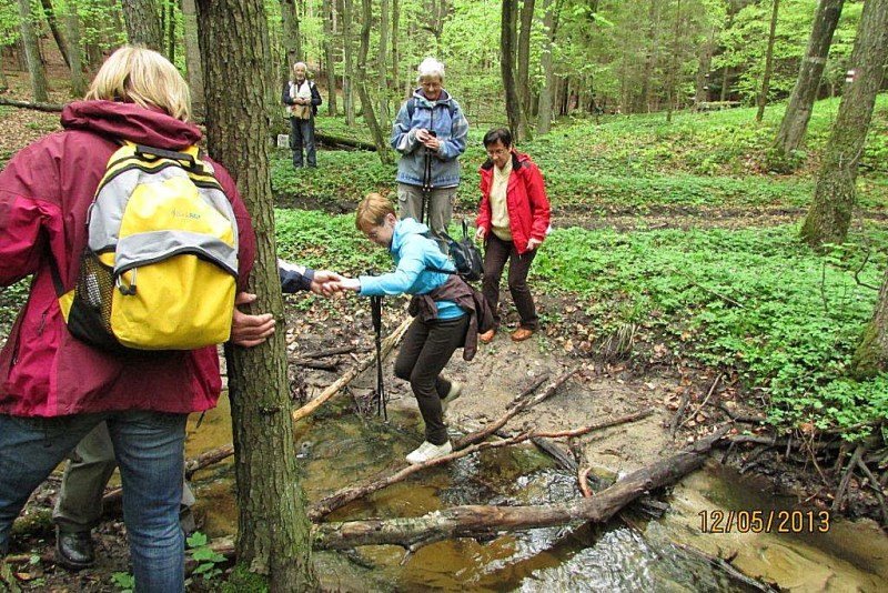 Elbląg, Szlakiem Kopernikowskim z aparatem