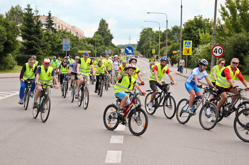 Elbląg, Ścieżkami PWSZ Elbląg, Ścieżkami PWSZ