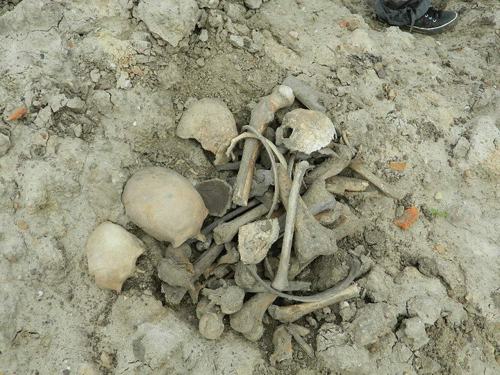 Elbląg, Znalezione przy ul. Radomskiej szczątki ludzkie zostaną zabezpieczone, a ich pochówek odbędzie się na cmentarzu Dębica