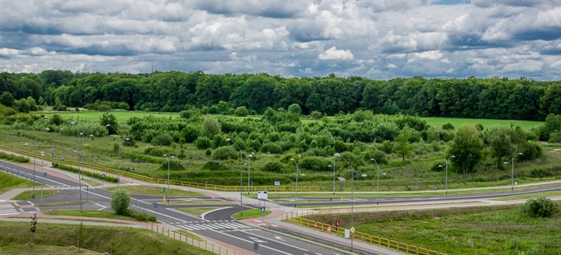 Elbląg, Gdańskie konsorcjum wykona dokumentację dla terenów Modrzewiny Południe