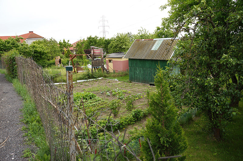Elbląg, Przepis na ocalenie działkowych ogrodów Elbląg, Przepis na ocalenie działkowych ogrodów