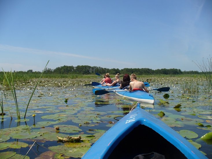Elbląg, Kajakiem po wiedzę